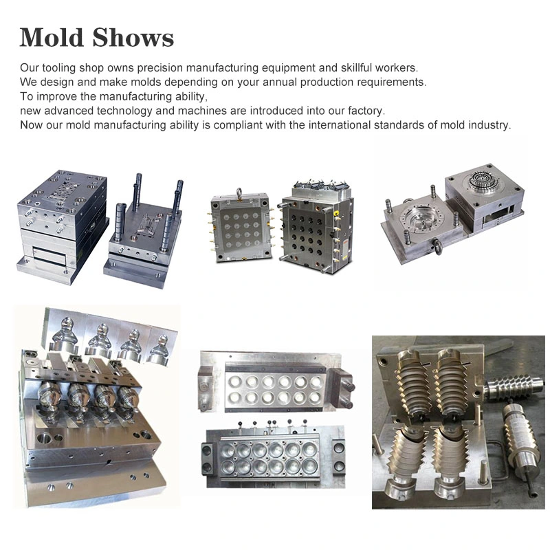 Injection Mold and Molding for Automotive Interior Parts