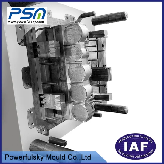 Powerfulsky High Precision Plastic Injection Mould Double Shot 2K Two Color Mold