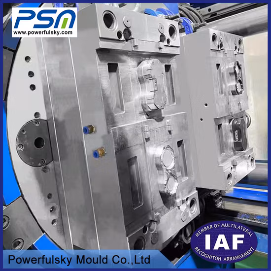 Powerfulsky High Precision Plastic Injection Mould Double Shot 2K Two Color Mold